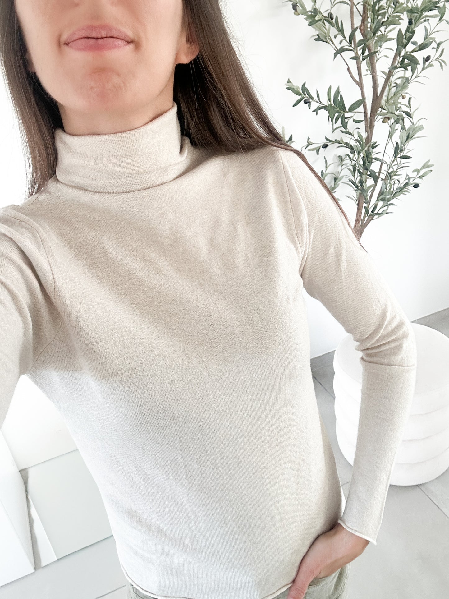 Pull col roulé (couleur au choix)