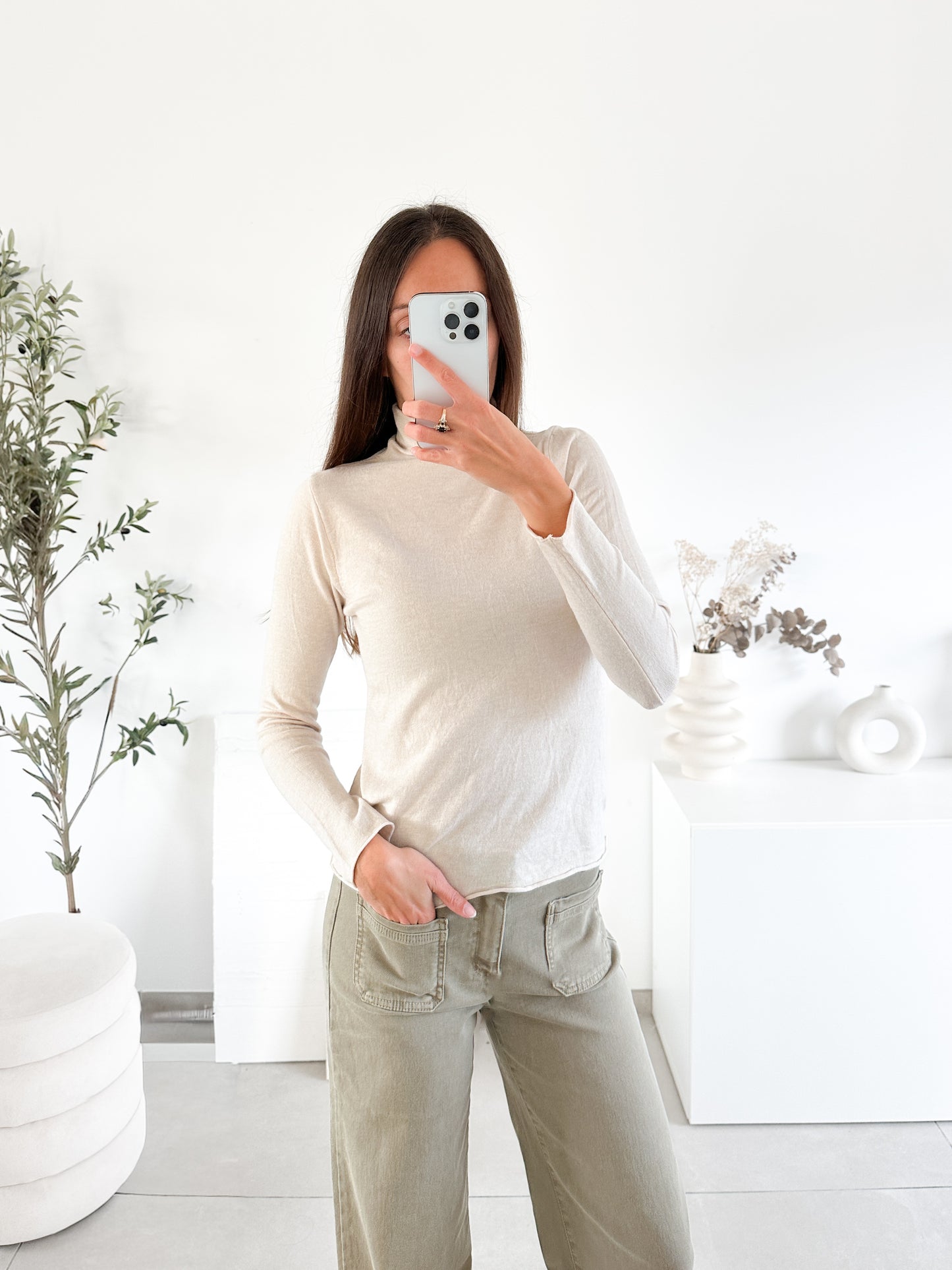 Pull col roulé (couleur au choix)